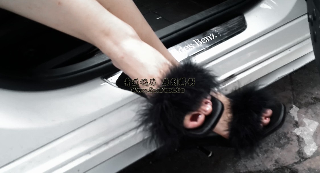 IMG_8927.PNG