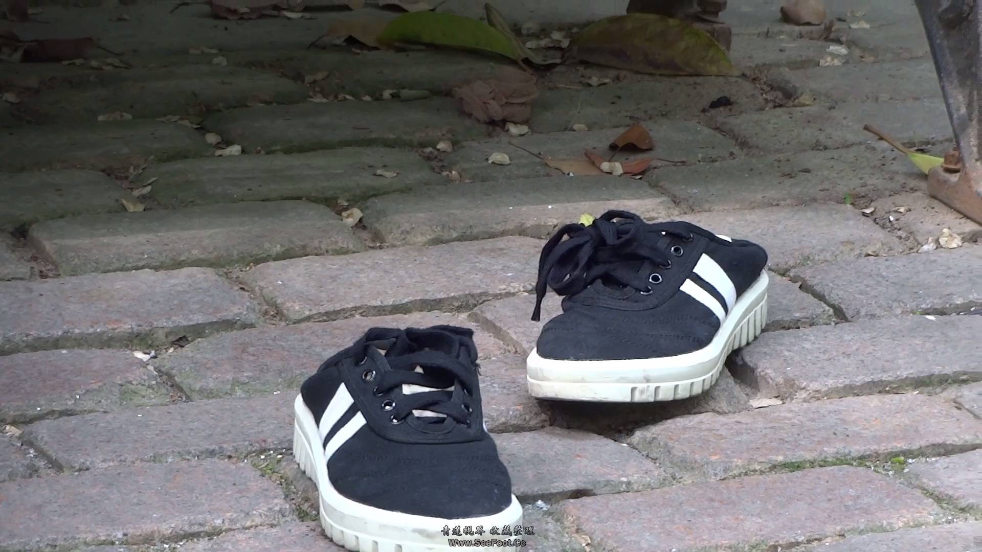 spsp (18)[00_01_36][20260208-075841].png